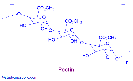 pectin, chemicals of cell wall, chemical structure of pectin